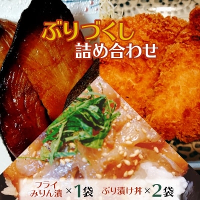 【発送月固定定期便】ぶりづくし詰め合わせ 全4回【配送不可地域:離島】【4012687】長崎県松浦市56000魚介・海産物その他 魚介・海産物