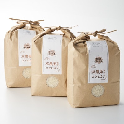 R7NY ZȊÂ! DYRVqJ 6kg(2kg×3)[_Ɩh]y1584913zV֐쑺20000āEp