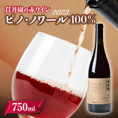 2023 赤ワイン ピノ・ノワール100% 1本 貫井園のワイン【1563823】埼玉県入間市15000酒・アルコールワイン