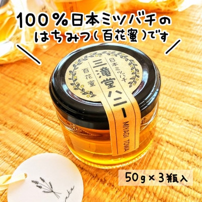 日本ミツバチ100%はちみつ【三滝堂ハニー】50g×3瓶【1368857】宮城県登米市13000鍋セット・総菜・加工食品ジャム・はちみつ