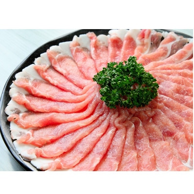 {錧Y؃[X@1.5kg Ԃԗp@300g×5PyzsnFzy1384980z{錧oĎs12000ؓ