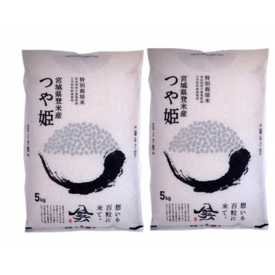 【特別栽培米】宮城県登米市産つや姫精米5kg×2個【1459332】宮城県登米市34000米・パン白米