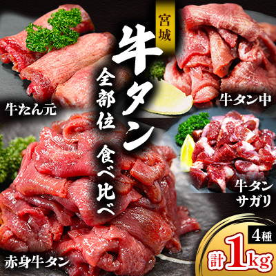 宮城 牛タン 全部位 食べ比べ(4種類)計1kgセット 特製 二日熟成 塩味【配送不可地域:離島】【1604089】宮城県登米市9000肉牛肉