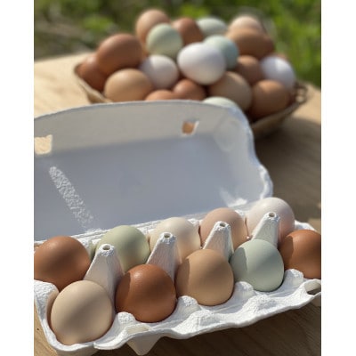 鶏とわたしの平飼い玉子 30個(10個入り×3パック)【配送不可地域:離島】【1626060】宮城県登米市11000卵・乳製品卵(鶏、烏骨鶏等)