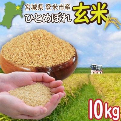 宮城県登米市産 ひとめぼれ 玄米 10kg【令和7年産】【1638015】宮城県登米市33000米・パン玄米・雑穀米・もち米・餅