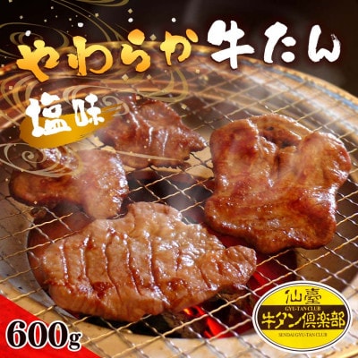やわらか牛たん 塩味 5〜6人分 600g(150g×4パック)【配送不可地域:離島】【1638378】宮城県登米市27000肉牛肉