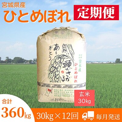 2023年12月発送開始『定期便』宮城県登米市産ひとめぼれ(玄米)30kg全12回【5146693】宮城県登米市432000米・パン玄米・雑穀米・もち米・餅