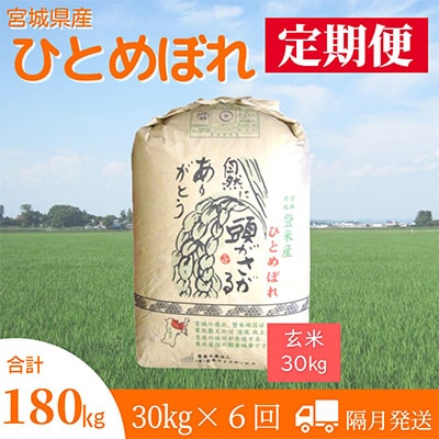 2023年9月発送開始『定期便』宮城県登米市産ひとめぼれ(玄米)30kg(隔月)全6回【5146702】宮城県登米市180000米・パン玄米・雑穀米・もち米・餅