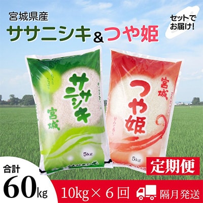 2024年2月発送開始『定期便』食べ比べセット(ササニシキ・つや姫 精米 各5kg)隔月 全6回【5146779】宮城県登米市78000米・パン白米