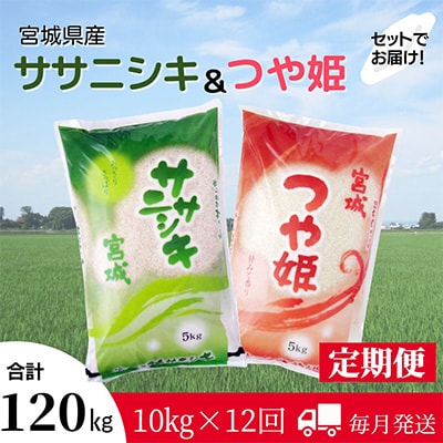 2024年4月発送開始『定期便』食べ比べセット(ササニシキ・つや姫 精米 各5kg)全12回【5146793】宮城県登米市156000米・パン白米