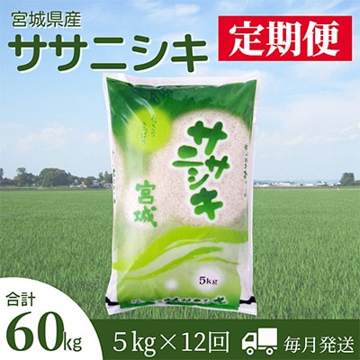 2023年10月発送開始『定期便』宮城県登米市産ササニシキ精米5kg 全12回【5146904】宮城県登米市60000米・パン白米
