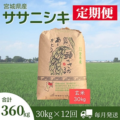 2023N10Jnwցx{錧oĎsYTTjVL()30kg@S12y5146952z{錧oĎs360000āEpāEGāEāE