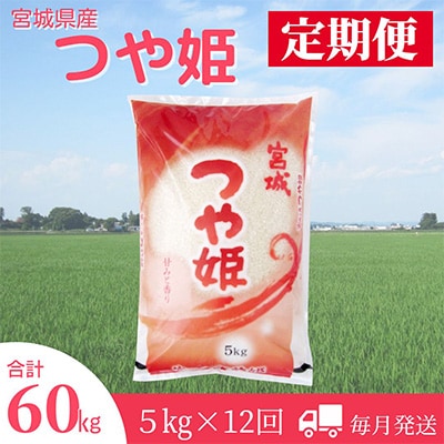 2023N6Jnwցx{錧oĎsYP5kg@S12y5147022z{錧oĎs60000āEp
