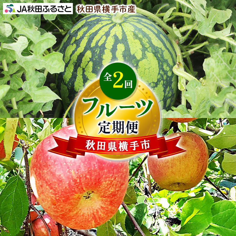 秋田県横手市産 フルーツ定期便(すいか・りんご)【2回お届け】《7月・11月発送》秋田県横手市34000果物・フルーツ
