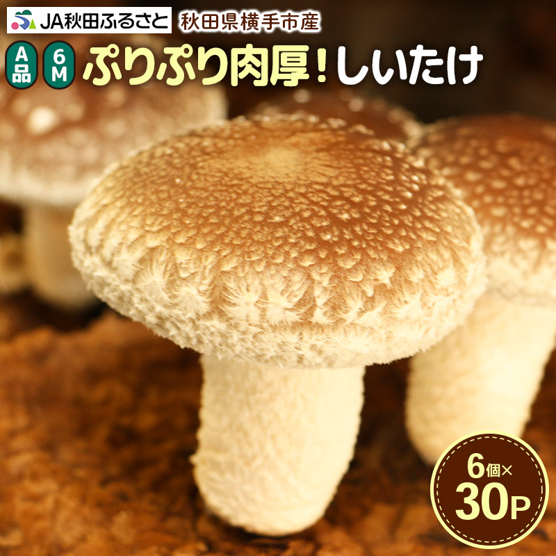 しいたけ A品 6M(約100g)×30パック秋田県横手市22000野菜・きのこ