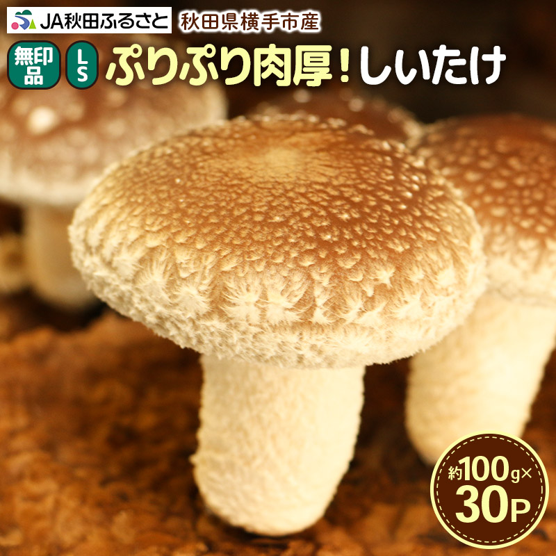  i LSi100gj×30pbNHcs11000؁Ê