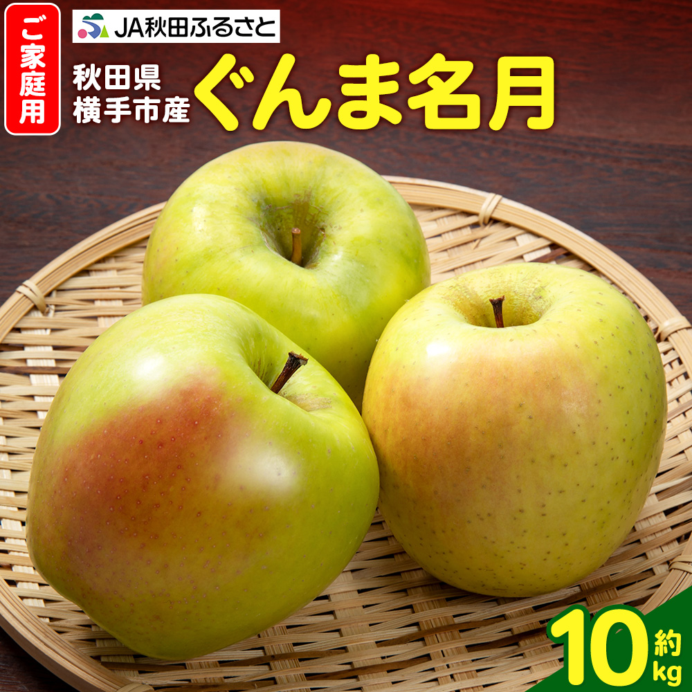 【11月中旬より発送】りんご ぐんま名月 家庭用 約10kg(32〜40玉)秋田県横手市20000果物・フルーツりんご・梨