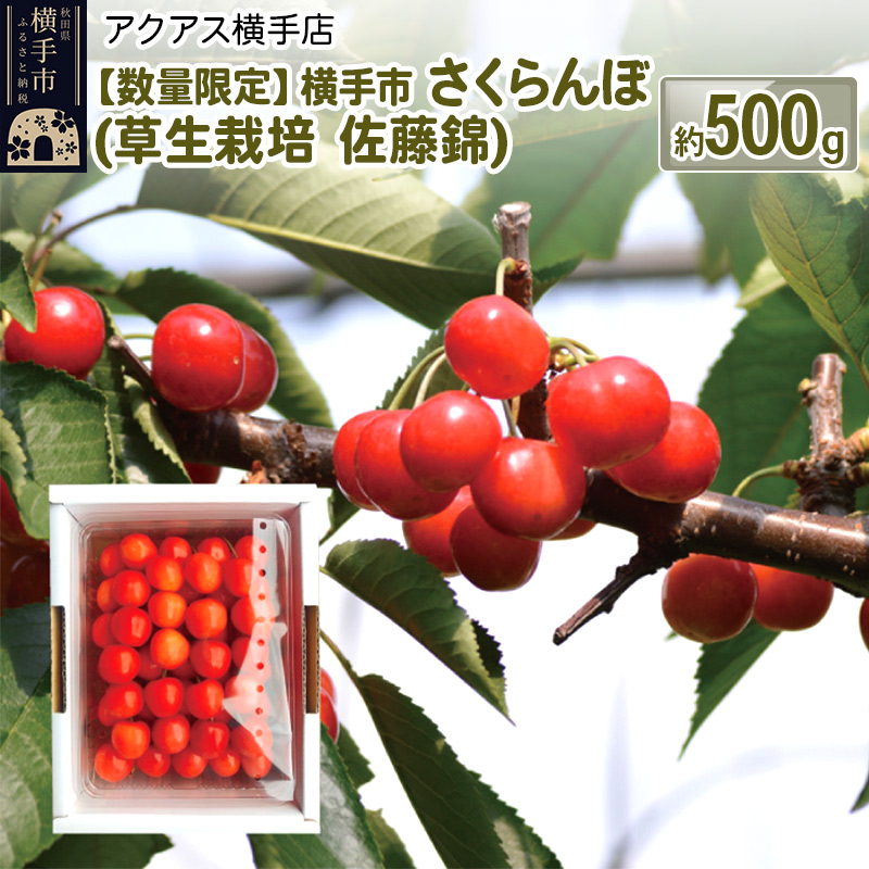 横手市 さくらんぼ (草生栽培 佐藤錦) 約500g秋田県横手市11000果物・フルーツ