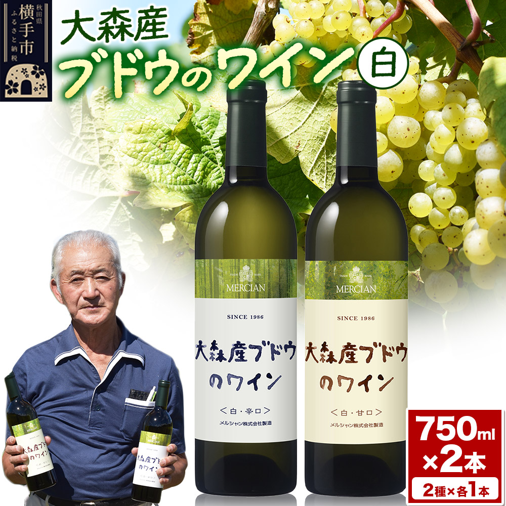 大森産ワインの甘辛飲みくらべ  750ml×各1本 計2本秋田県横手市18000酒・アルコールワイン