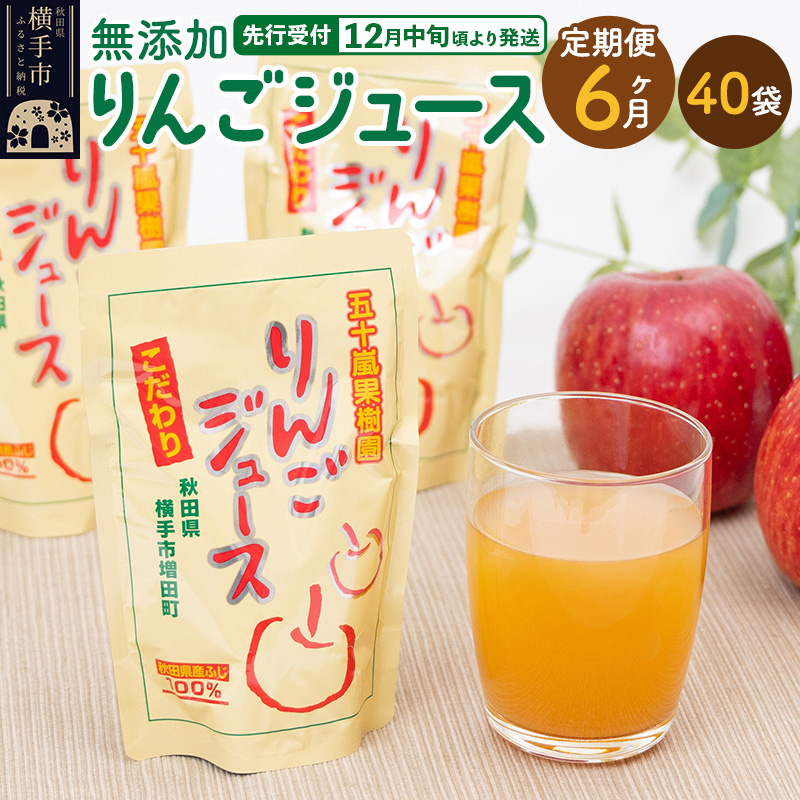 《定期便6ヶ月》 無添加りんごジュース(サンふじ)40パック秋田県横手市156000お茶・飲料果汁・野菜飲料