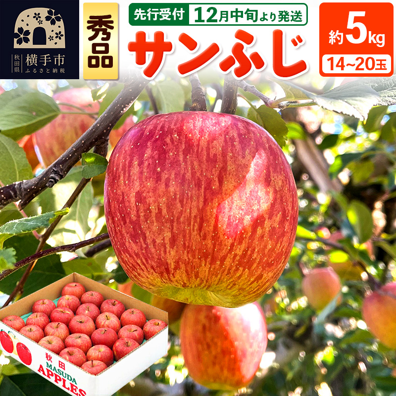 【先行受付】12月中旬より発送 サンふじ【秀品】約5kg(14〜20玉)りんご 林檎秋田県横手市18000果物・フルーツりんご・梨