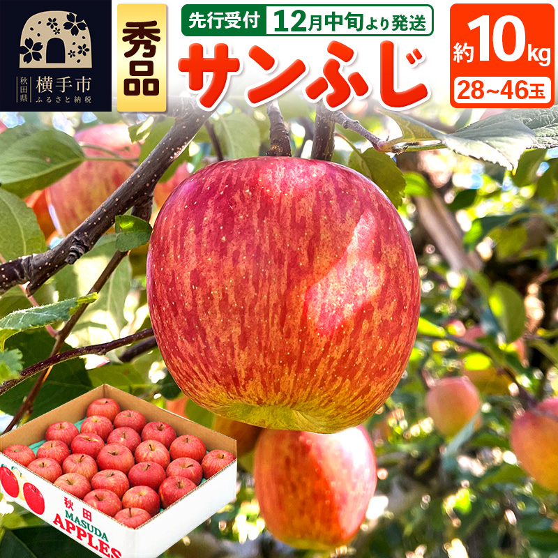 【先行受付】12月中旬より発送 サンふじ 【秀品】約10kg (28〜46玉)りんご 林檎秋田県横手市32000果物・フルーツりんご・梨