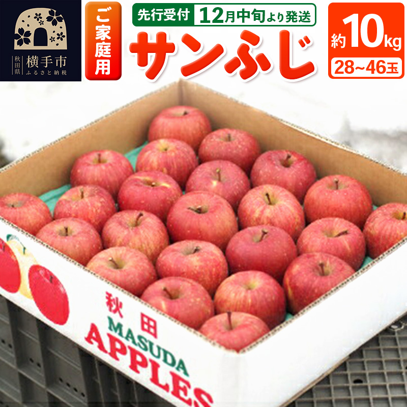 【先行受付】12月中旬より発送 【ご家庭向け】サンふじ 約10kg (28〜46玉) りんご 林檎秋田県横手市26000果物・フルーツりんご・梨