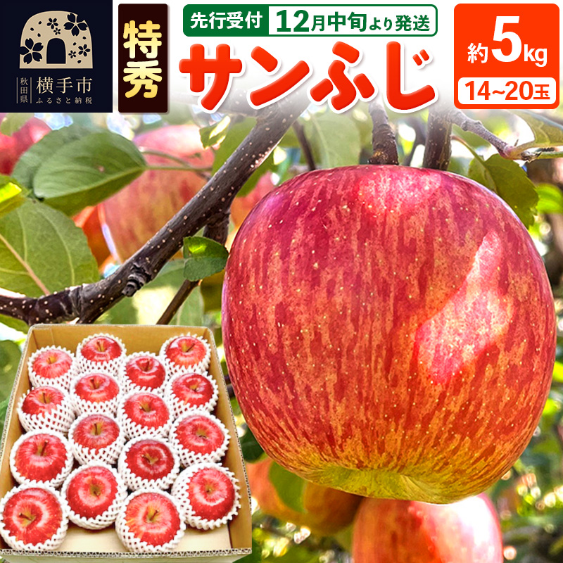 【先行受付】12月中旬より発送 サンふじ 【特秀】 約5kg(14〜20玉)りんご 林檎秋田県横手市20000果物・フルーツりんご・梨