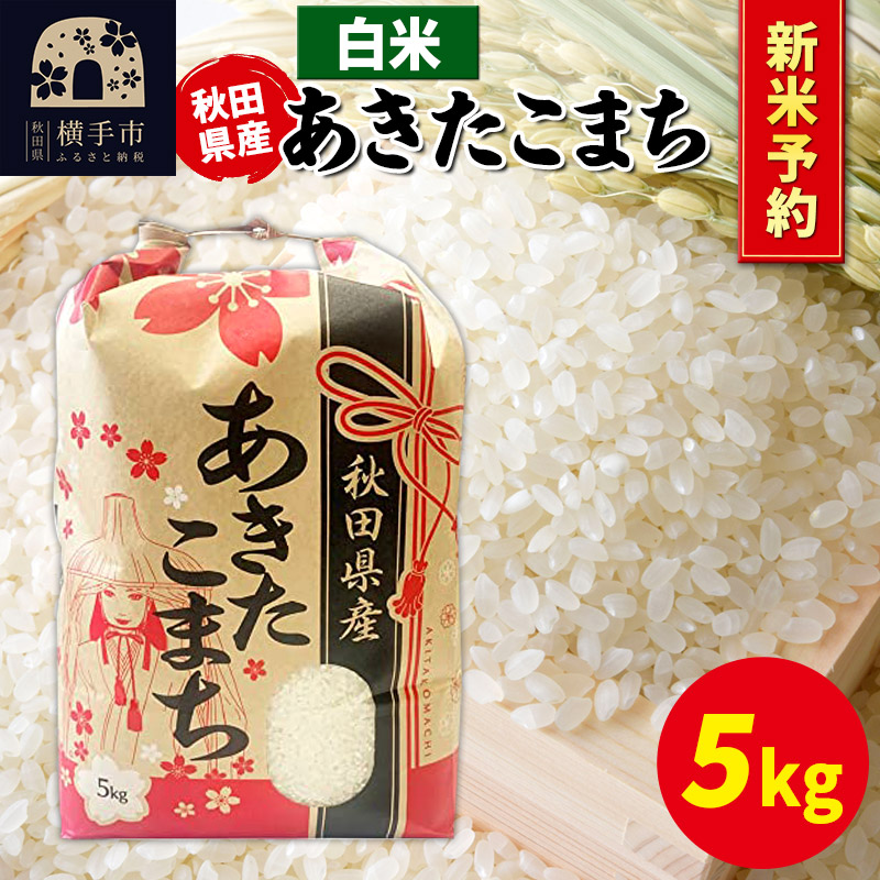 sߘa7NY VĎtt܂ 5kg×1܁yāzHcY ܂CHcs21000āEp