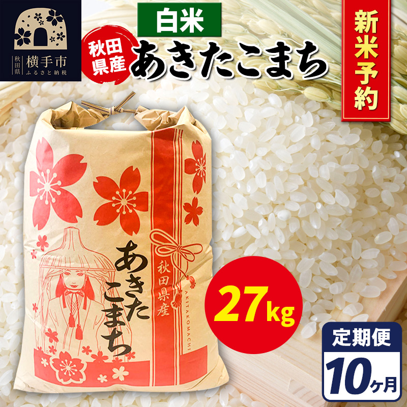 sߘa7NY VĎtts10t܂ 27kgyāzHcY ܂CHcs1093000āEp