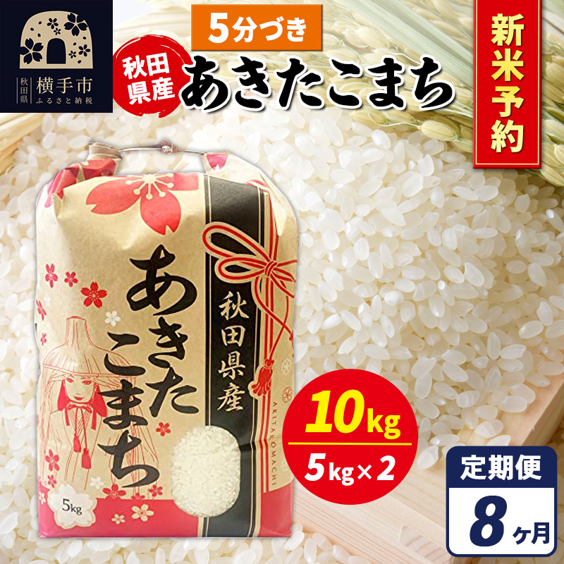 sߘa7NY VĎtts8t܂ 10kgy5ÂzHcY ܂CHcs331000āEp