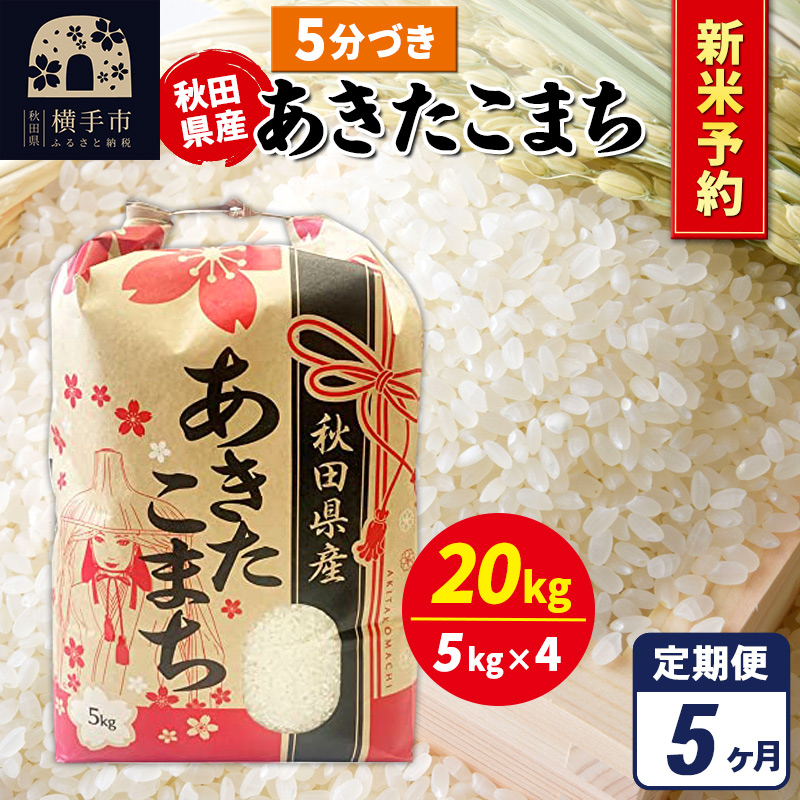 sߘa7NY VĎtts5t܂ 20kgi5kg×4܁jy5ÂzHcY ܂CHcs413000āEp