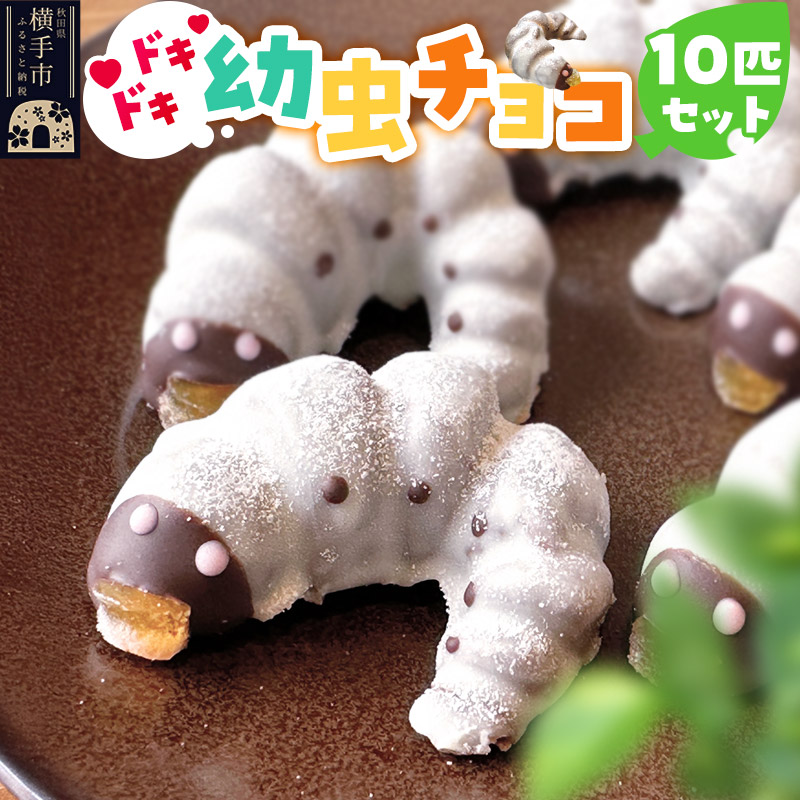 幼虫チョコ10匹セット 小松屋本店 プレゼント インスタ映え お菓子 スイーツ チョコ チョコレート ギフト秋田県横手市10000菓子・スイーツその他 洋菓子