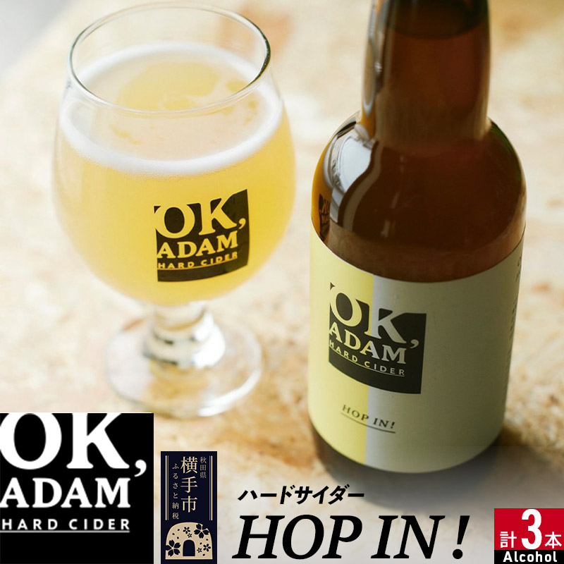 OK,ADAM n[hTC_[HOP INI 3{ZbgHcs11000EAR[r[EA