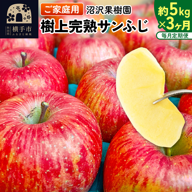 《定期便3ヶ月》樹上完熟サンふじ ご家庭用 約5kg(13〜23玉前後)×3回 計15kg 3か月 3ヵ月 3カ月 3ケ月秋田県横手市33000果物・フルーツ