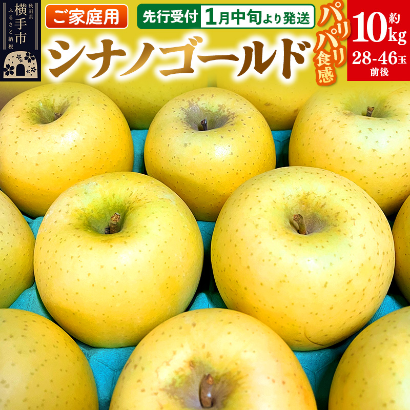 【先行受付】1月中旬より発送 パリパリ食感シナノゴールド ご家庭用 約10kg(28〜46玉前後)秋田県横手市20000果物・フルーツ