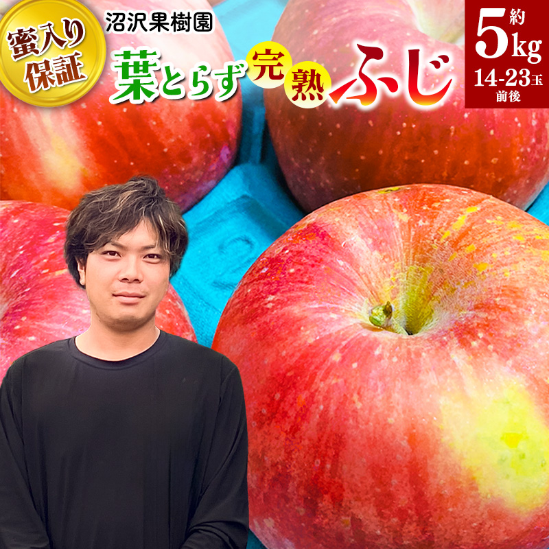 11月下旬より発送 《蜜ライトで蜜入り保証!》葉とらず完熟ふじ 約5kg りんご秋田県横手市12000果物・フルーツ