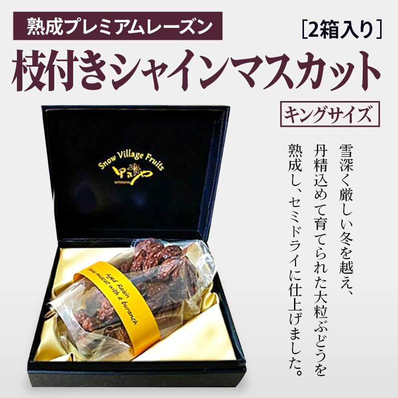 熟成プレミアムレーズン 枝付きシャインマスカット キングサイズ 2箱セット秋田県横手市130000果物・フルーツ