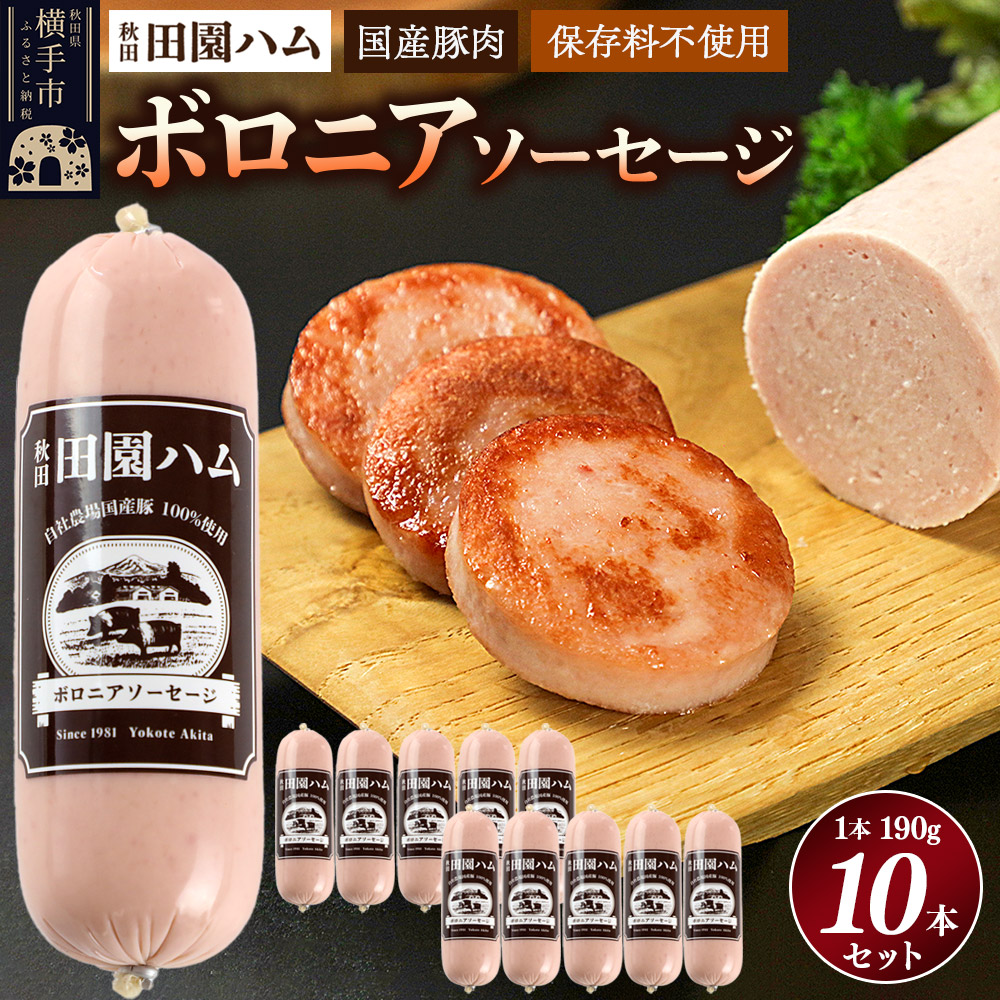 田園ハム ボロニアソーセージ 190g×10本セット秋田県横手市17000肉