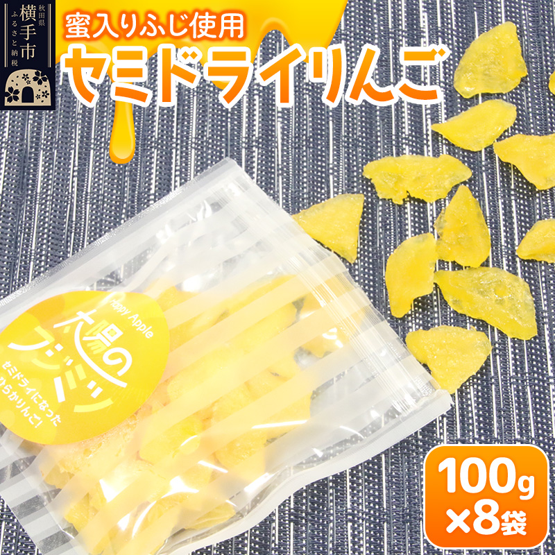 セミドライりんご「太陽のフジミツ」100g×8袋秋田県横手市24000果物・フルーツドライフルーツ