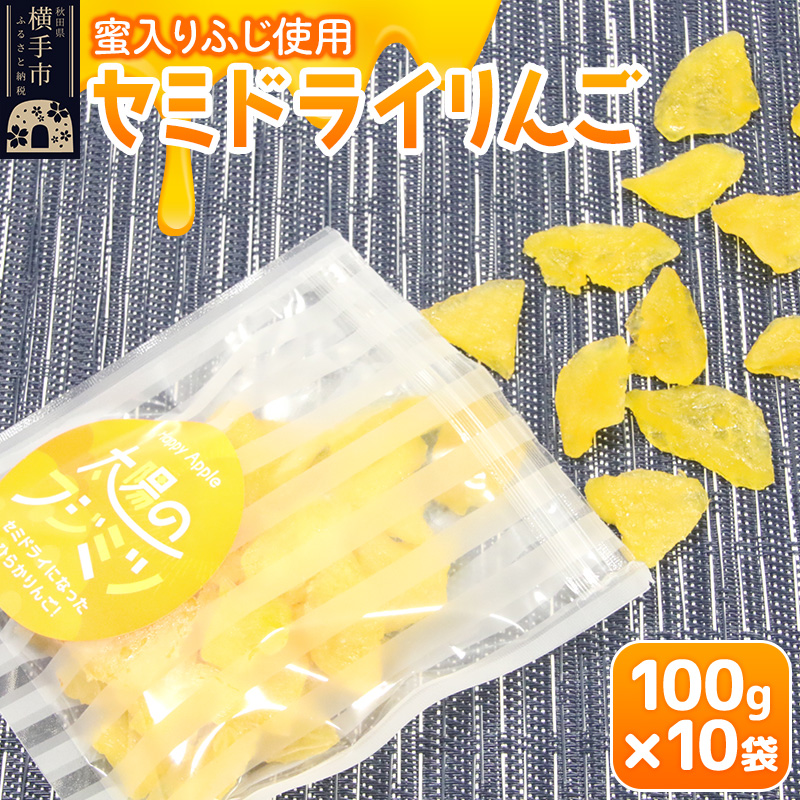 セミドライりんご「太陽のフジミツ」100g×10袋秋田県横手市29000果物・フルーツドライフルーツ