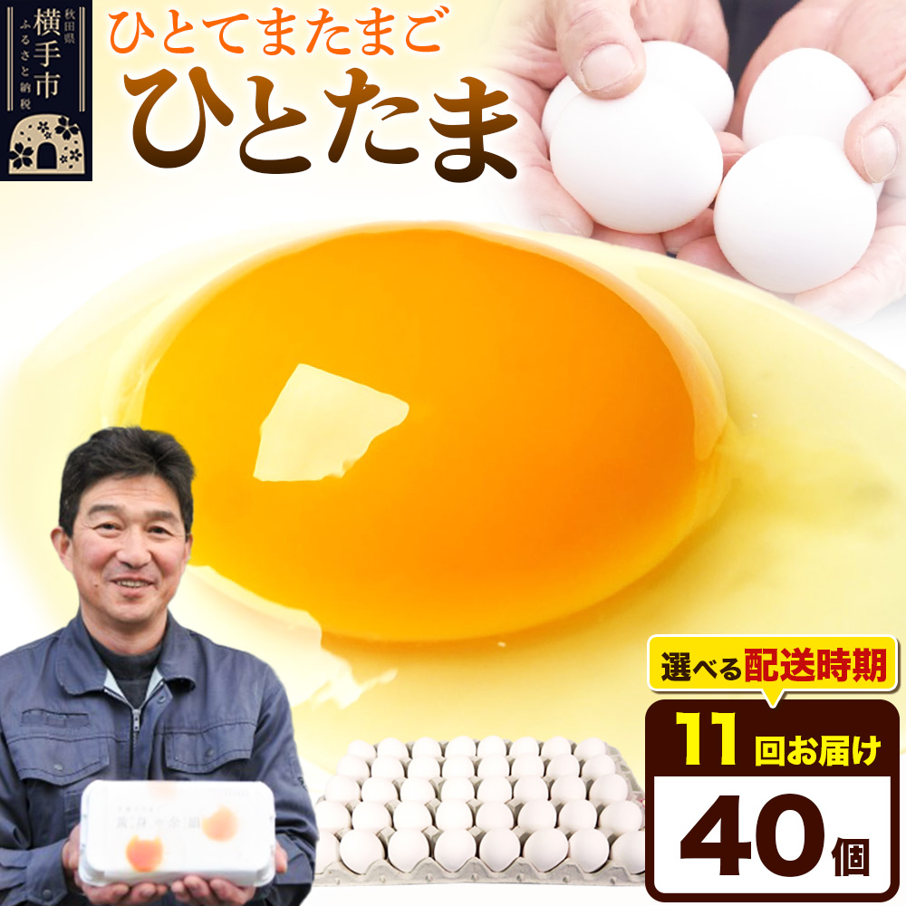 【常温発送】《定期便11ヶ月》ひとたま 40個(業務用)【発送時期が選べる】東海林養鶏場 ひとたま 卵 玉子 たまご タマゴ 11か月 11ヵ月 11カ月 11ケ月 開始時期選べる秋田県横手市77000卵・