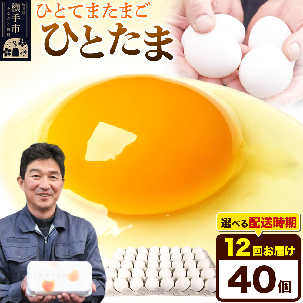 y퉷zs12tЂƂ 40iƖpjyIׂzCї{{ ЂƂ  ʎq ܂ ^}S 12 12 12J 12P JnIׂHcs84000E