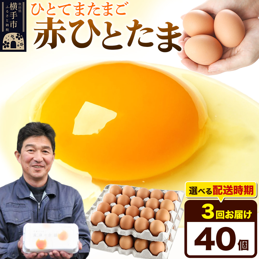 【常温発送】《定期便3ヶ月》赤ひとたま 40個(業務用)【発送時期が選べる】東海林養鶏場 赤ひとたま 卵 玉子 たまご タマゴ 3か月 3ヵ月 3カ月 3ケ月 開始時期選べる秋田県横手市24000卵・