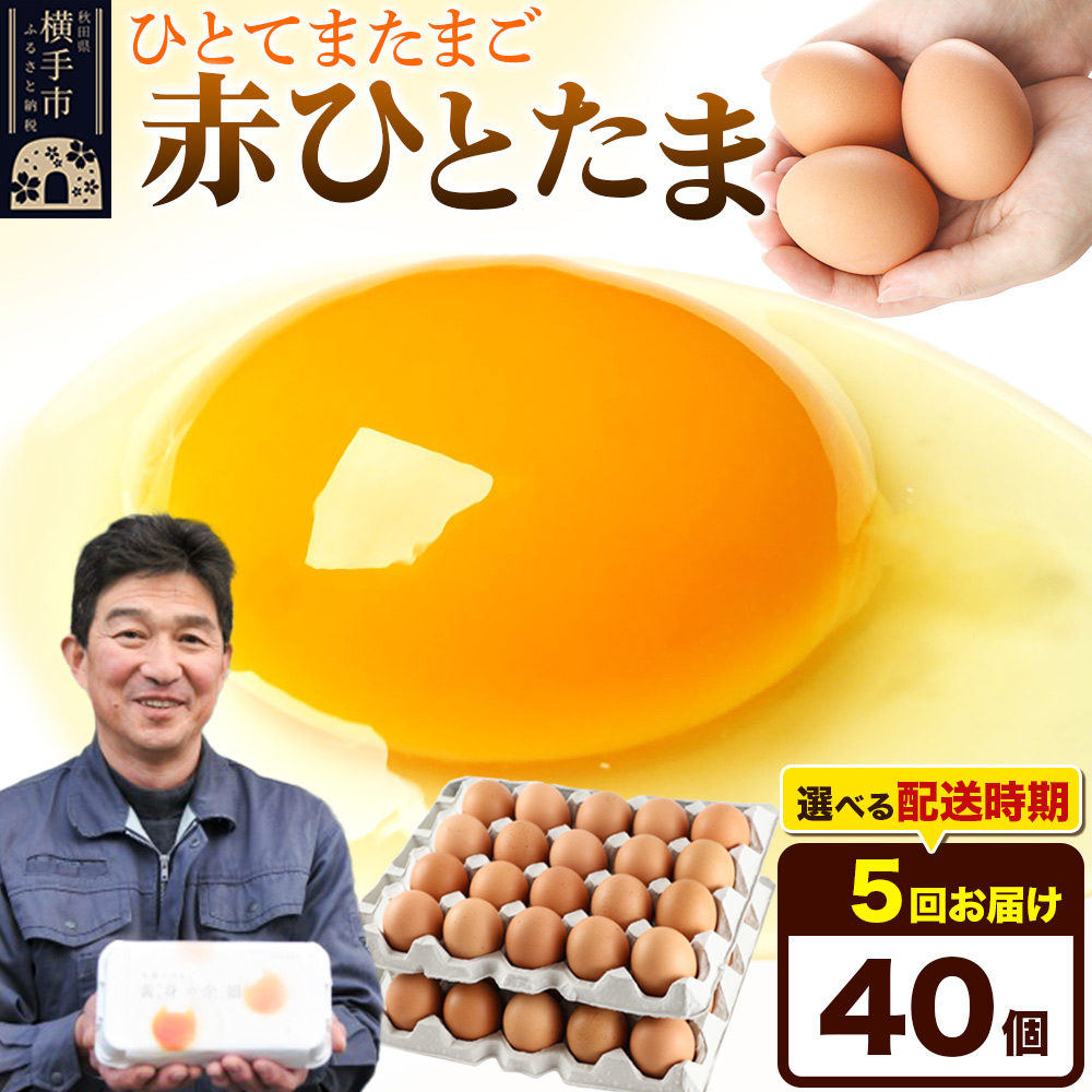【常温発送】《定期便5ヶ月》赤ひとたま 40個(業務用)【発送時期が選べる】東海林養鶏場 赤ひとたま 卵 玉子 たまご タマゴ 5か月 5ヵ月 5カ月 5ケ月 開始時期選べる秋田県横手市40000卵・