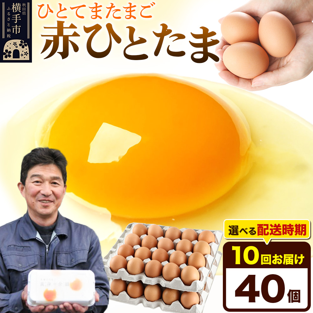 【常温発送】《定期便10ヶ月》赤ひとたま 40個(業務用)【発送時期が選べる】東海林養鶏場 赤ひとたま 卵 玉子 たまご タマゴ 10か月 10ヵ月 10カ月 10ケ月 開始時期選べる秋田県横手市80000
