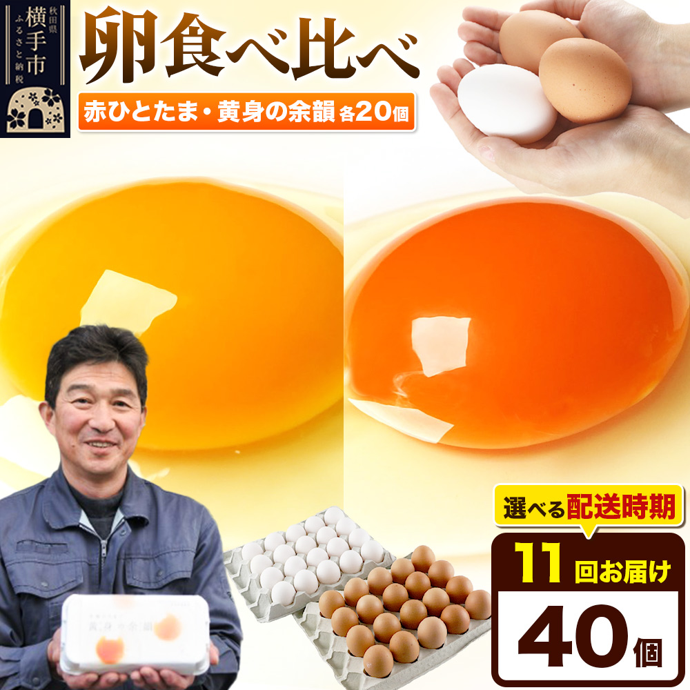 【常温発送】《定期便11ヶ月》赤ひとたま 20個・黄身の余韻 20個 計40個(業務用)【発送時期が選べる】東海林養鶏場 赤ひとたま 黄身の余韻 卵 玉子 たまご タマゴ 11か月 11ヵ月 11カ月 11ケ