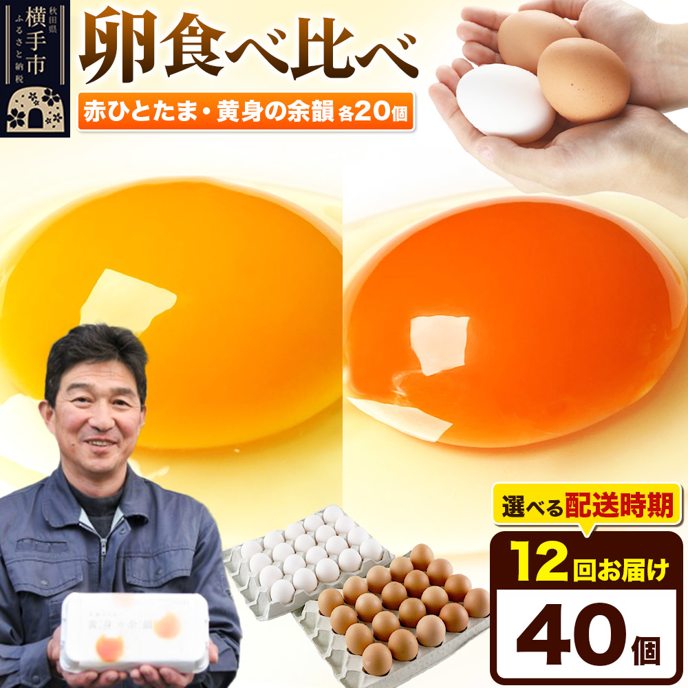 【常温発送】《定期便12ヶ月》赤ひとたま 20個・黄身の余韻 20個 計40個(業務用)【発送時期が選べる】東海林養鶏場 赤ひとたま 黄身の余韻 卵 玉子 たまご タマゴ 12か月 12ヵ月 12カ月 12ケ