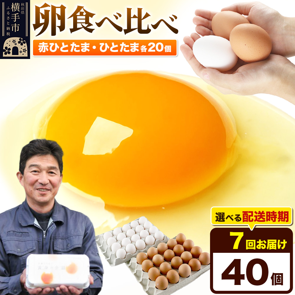 【常温発送】《定期便7ヶ月》赤ひとたま 20個・ひとたま 20個 計40個(業務用)【発送時期が選べる】東海林養鶏場 赤ひとたま ひとたま 卵 玉子 たまご タマゴ 7か月 7ヵ月 7カ月 7ケ月 開始