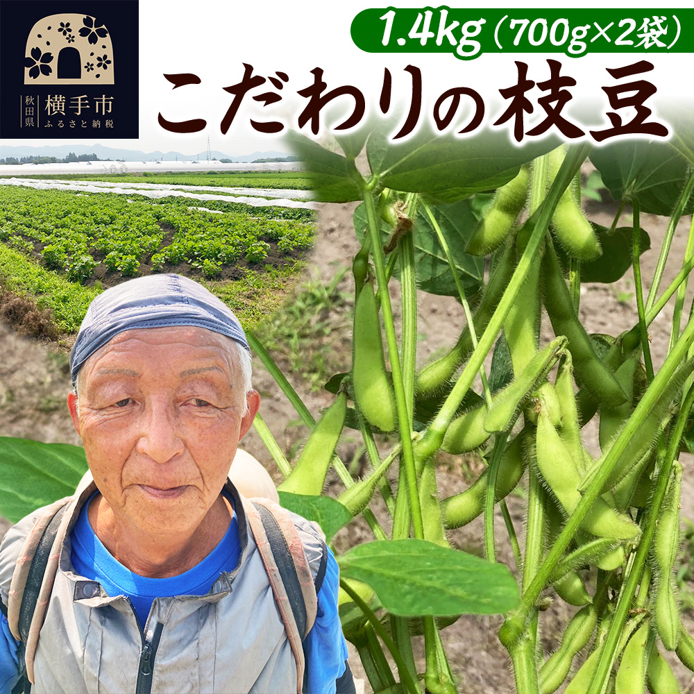 7月下旬より発送 こだわりの枝豆 1.4kg(700g×2袋)秋田県横手市産秋田県横手市11000野菜・きのこ豆類